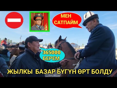 Видео: Базар-коргон Жылкы базары.