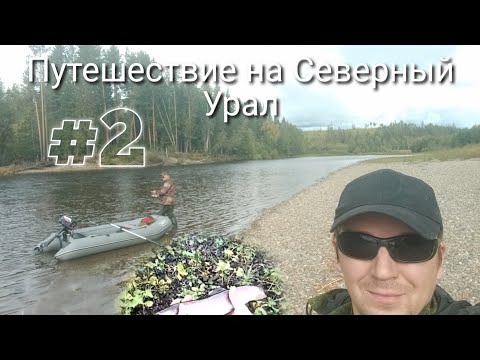 Видео: Рыбалка на Лозьве | Таймень | Хариус