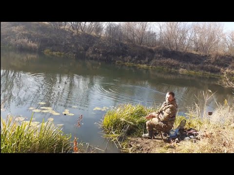 Видео: Рыбалка в Конце Октября на Поплавок.Приятный Улов Ельца и Плотвы!