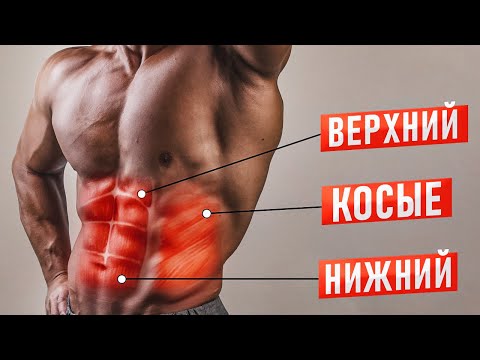 Видео: ПРЕСС за 8 МИНУТ! Как накачать пресс и УБРАТЬ ЖИВОТ в домашних условиях?