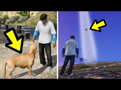 Видео: ЧТО БУДЕТ ЕСЛИ ПРОСЛЕДИТЬ ЗА ПРИЗРАКОМ СОБАКИ?! (GTA 5)