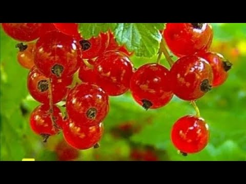 Видео: 45 процессов вышивки через 3 года. как они выглядят на 01.08.2023