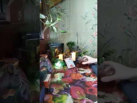 Видео: Завтрак) Много зависти🐸🐊 и злости, все Вам моют кости😛😱