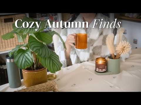 Видео: Новые осенние фавориты 🍂 Находки из Søstrene Grene & Рецепт суши-бейка | Уютный осенний влог