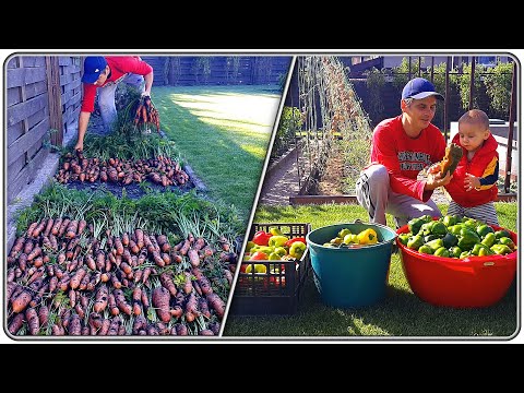 Видео: 112. на Даче у Саши - 2021 конец Сентября.