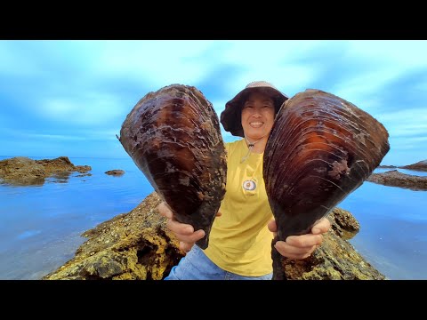 Видео: Невероятный! Гигантские мидии набиты жемчугом. золотые и серебряные бусы