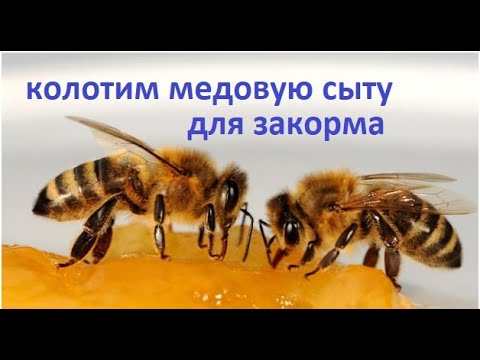 Видео: #Пчёлы. Как развести закристализовавшийся  мёд,  для подкормки пчёл на зиму.