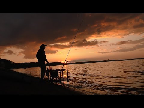 Видео: НОЧНАЯ РЫБАЛКА НА МИНСКОМ МОРЕ 2025. ОТ ЗАКАТА ДО РАССВЕТА. ЛОВЛЯ НА ФИДЕР В НАЧАЛЕ АВГУСТА.