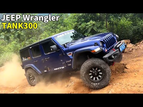 Видео: JEEP Sahara 4X4 по бездорожью: JEEP Sahara VS TANK300, сцена шокирующая! #offroad #jeep