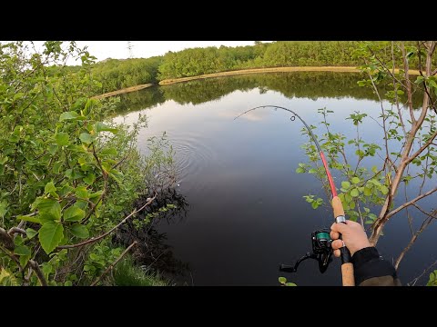 Видео: НОЧНАЯ РЫБАЛКА НА "ТИРОЛЬСКУЮ ПАЛОЧКУ" / NIGHT FISHING ON THE "TYROLKA"