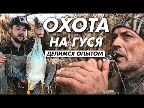 Видео: Охота на гуся. Долгий путь охотника ...