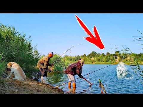 Видео: Они рвали снасти, но мы их поймали!