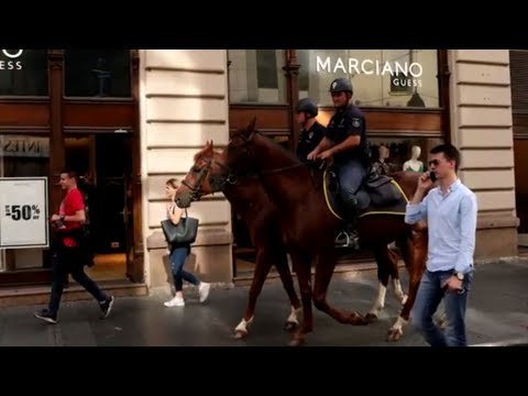 Видео: Сербские мужчины и женщины.