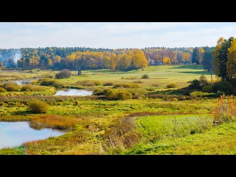 Видео: Музей-заповедник А. С. Пушкина "Михайловское"