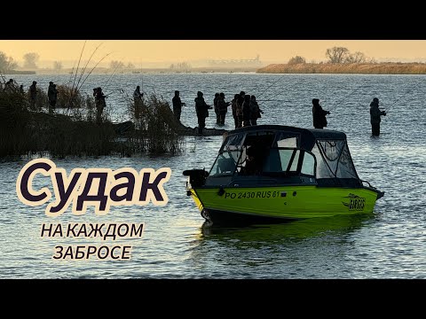 Видео: Вот это раздача! Судак на каждой проводке. Осенний жор в разгаре. Дон. Рогожкино. Осень 2024.
