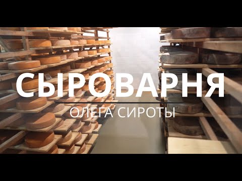 Видео: Истринская Сыроварня ОЛЕГА СИРОТЫ