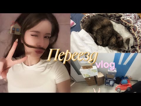 Видео: Влог: Я переезжаю//vlog/superrmini