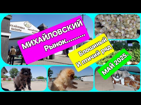 Видео: КАРАГАНДА. 31 мая. Михайловский рынок.