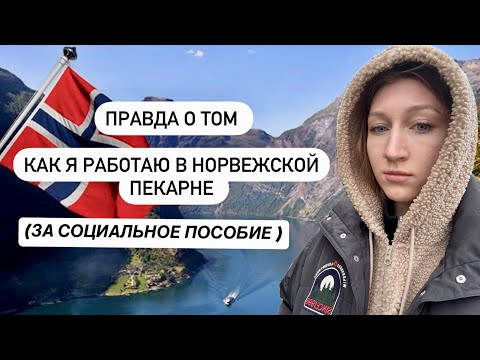 Видео: Реалии работы в Норвегии. Мой опыт