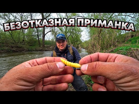 Видео: БЕЗОТКАЗНАЯ приманка в рыбалке на БОЛЬШОГО голавля / Заглянули в РУЧЕЙ, а там!!!