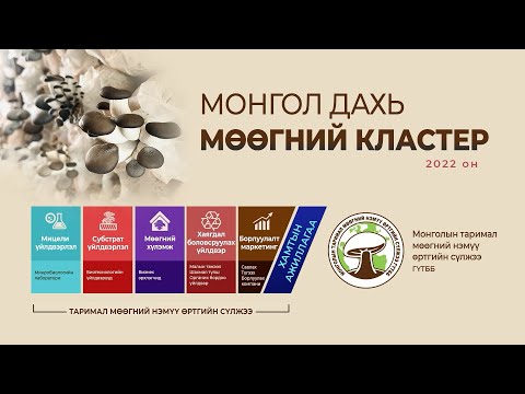 Видео: Монгол дахь МӨӨГНИЙ КЛАСТЕР - 2022