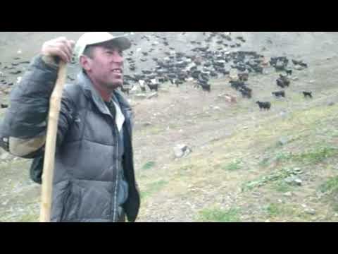 Видео: манзарахи куххои Дашти Кози кисми як