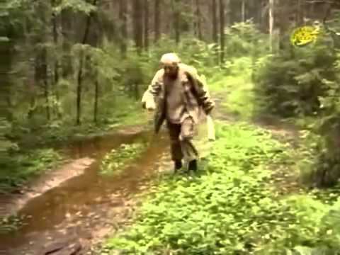 Видео: А у меня всегда клюёт видео.