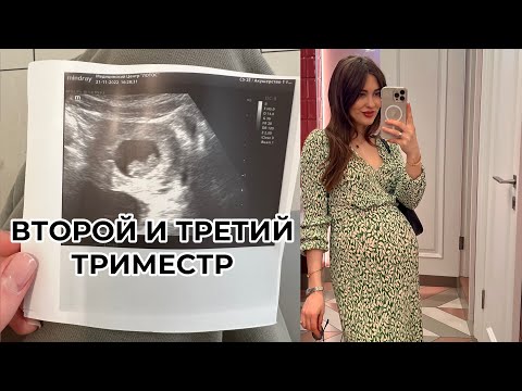 Видео: ВЕЩИ ДЛЯ МЛАДЕНЦА| МОЙ ВТОРОЙ И ТРЕТИЙ ТРИМЕСТР БЕРЕМЕННОСТИ