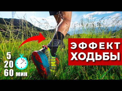 Видео: Что Происходит во Время Ходьбы в Нашем Организме за 5,20,60 минут? (Почему нужно ходить каждый день)