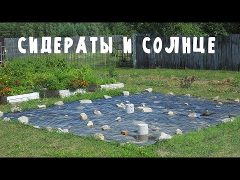 Видео: Удаляем сорняки и дерн с помощью семян ОВСА и нанотехнологии