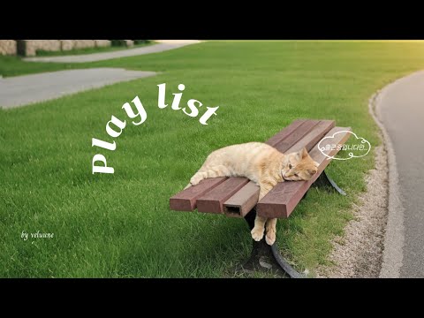 Видео: 𝐏𝐥𝐚𝐲𝐥𝐢𝐬𝐭 [Cafe] Осеннее настроение по дороге на работу❤️ Скоро выходные🎵 | Музыка для кафе