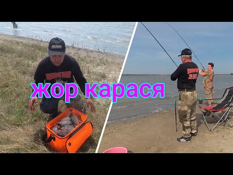 Видео: \\\ЖОР КАРАСЯ \\\ ЧЕЛЯБИНСКАЯ ОБЛ\\\