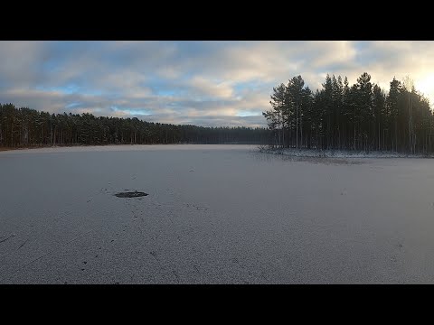 Видео: Первый лёд в Ленинградской области. Открытие сезона на лесном озере Карельского перешейка.