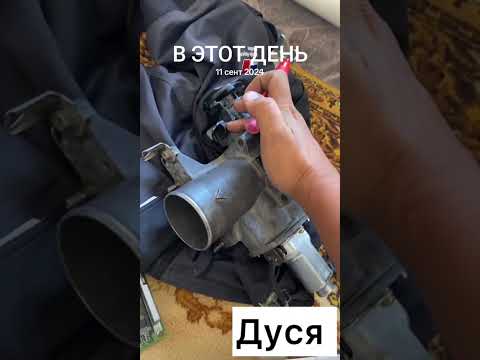 Видео: 11 сентября 2025 г.