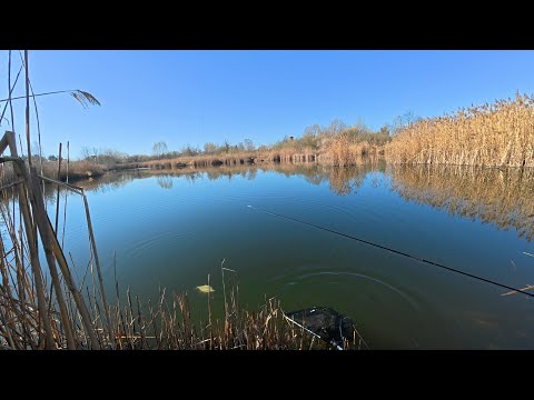Видео: Рыбалка на старом затопленом карьэре...