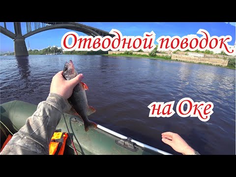 Видео: Рыбалка на отводной поводок на Оке. Ловля судака и окуня на отводной поводок.