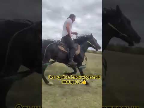 Видео: Керемет жүрісі екен👍🔥 #бөлісу #ұсыну #тарату#horse #rekomendasi #repost #rek#рекомендации #репост