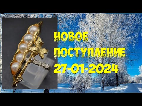 Видео: Новое поступление 27-01-2024