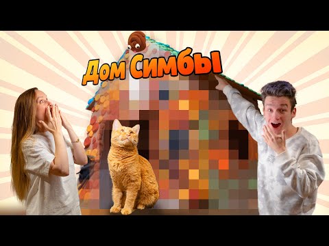 Видео: Мы построили ДОМ ИЗ ПЛАСТЕЛИНА для Симбочки!