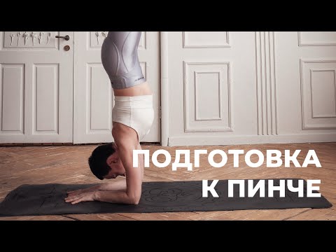 Видео: Подготовка к Пинче