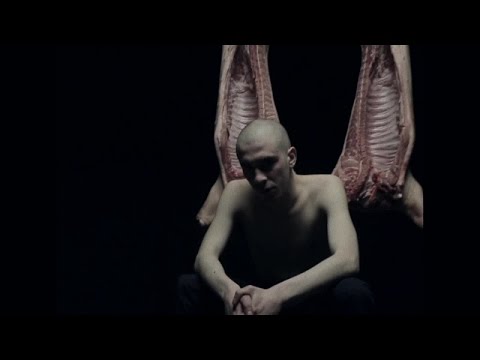 Видео: Хаски - Ай