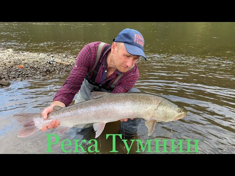 Видео: Река Тумнин и Сахалинские Таймени