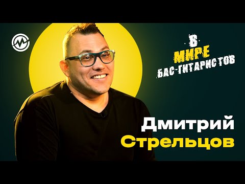 Видео: В мире бас-гитаристов — Дима Стрельцов (группа Любэ)