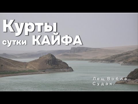 Видео: КУРТЫ рыбалка в Алматинской области!! КАК мы оторвались на Фидер и не много на джиг)))