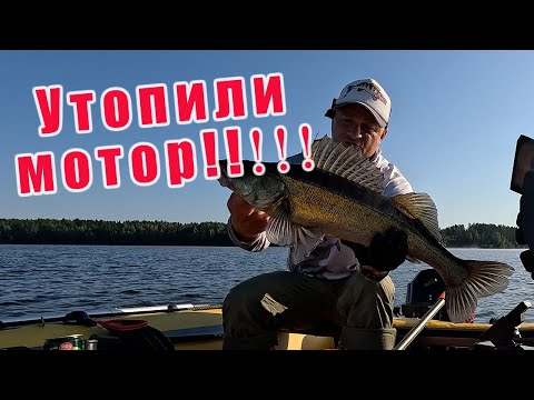 Видео: РЫБАЛКА В ДЕНЬ ВДВ!!! НАШЁЛ ОГРОМНЫХ СУДАКОВ! ТЕСТ СПИННИНГА RONIN RUSH SONIC INSURGENCY (802H)