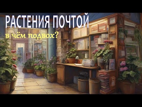 Видео: Заказ растений почтой. Почему вы до сих пор этого боитесь?