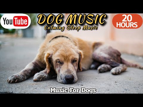 Видео: 20 ЧАСОВ Успокаивающей Музыки для Собак 🐶💖 Облегчение Тревоги Разлуки 🦮🎵 ⭐ Healingmate