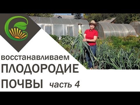 Видео: Как я сделала почву плодородной. Часть 4.