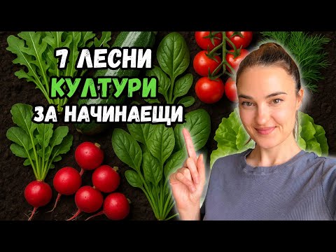Видео: Топ 7 лесни култури за начинаещи – почти не се нуждаят от грижи