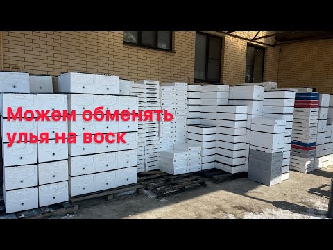 Видео: Производим улья. Зима на Кубани. Натягиваем рамки.
